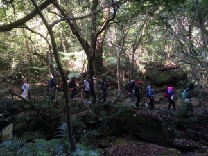 本週日同鄉會登山隊由台灣觀光協會戴秋燕小姐帶領各位健走，「松仔園 」，行程約7.5公里，時間約2-3小時，寒冷天氣，爬山健身，沿途吸收芬多精，閱覽優美景色。